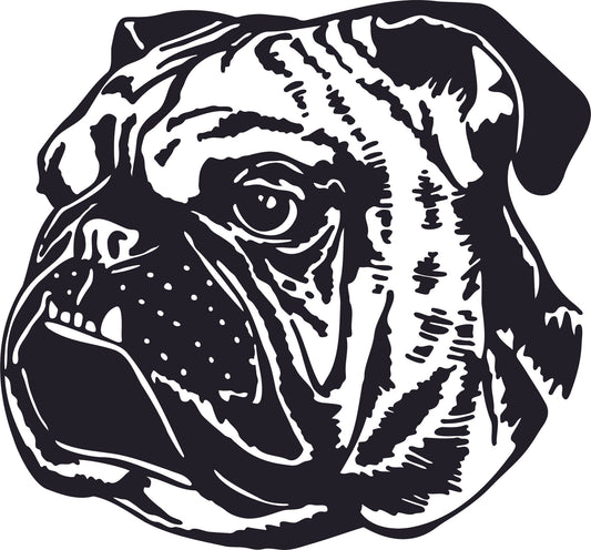 Englische Bulldogge Autoaufkleber #46