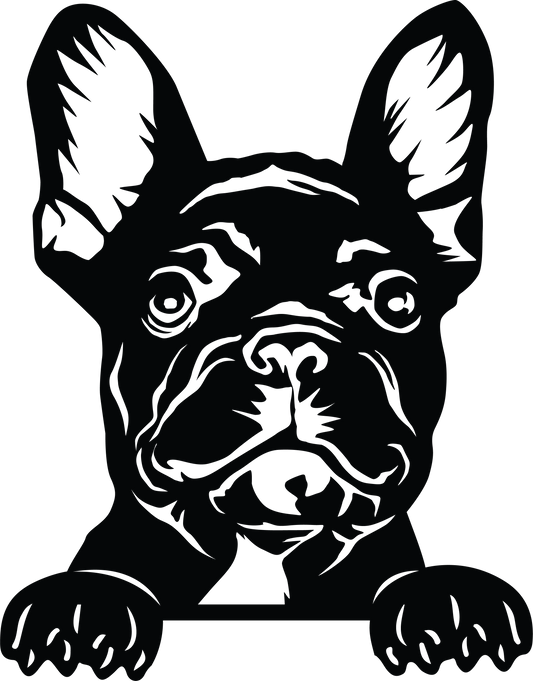 Französische Bulldogge Autoaufkleber #211