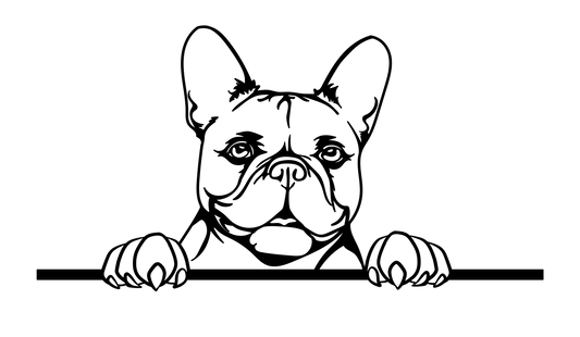 Französische Bulldogge Autoaufkleber #214