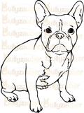 Französische Bulldogge Autoaufkleber #5