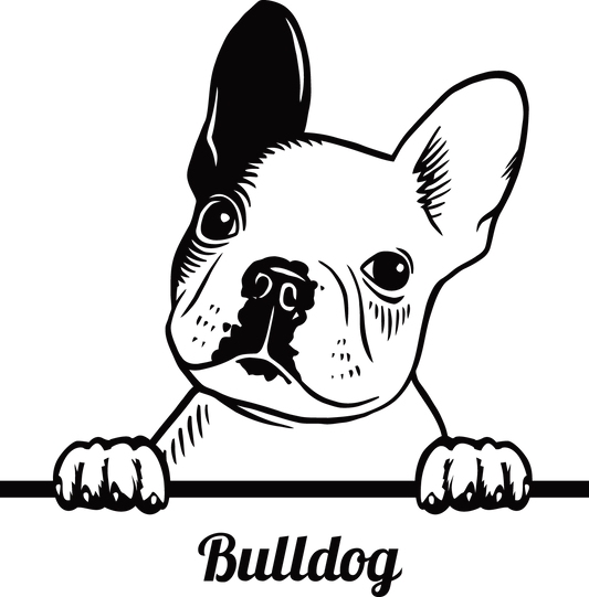 Französische Bulldogge Autoaufkleber #91