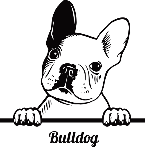 Französische Bulldogge Autoaufkleber #91